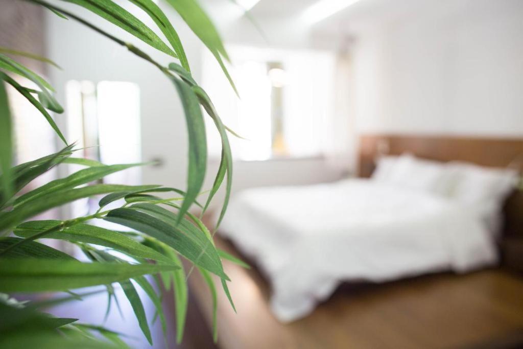 Madeira Loft I - City Center Funchal  Zewnętrze zdjęcie